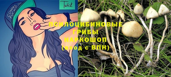 эйфоретик Алексин