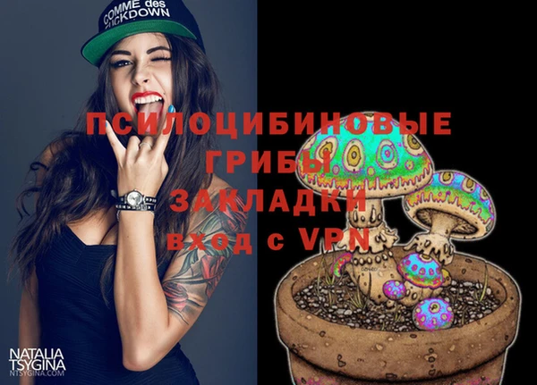 эйфоретик Алексин