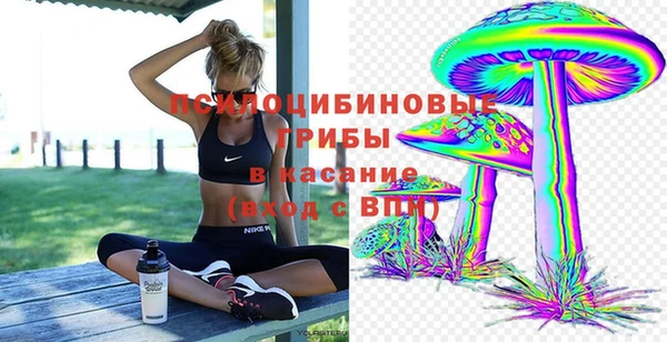 таблы Алзамай