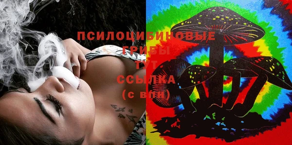 таблы Алзамай