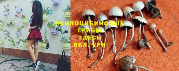 таблы Алзамай