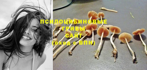 таблы Алзамай