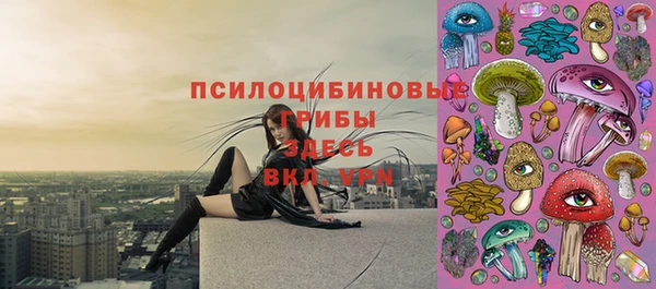 эйфоретик Алексин