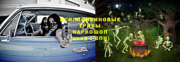 шишки Алексеевка