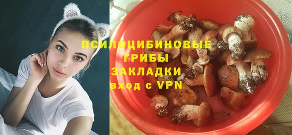 эйфоретик Алексин