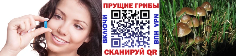 Галлюциногенные грибы мицелий  Болгар 